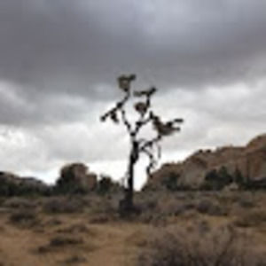 Meet your Posher, Vicki